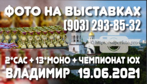 Фото с выставок во Владимире 19.06.2021 (2хСАС + блок моно + Чемпионат ЮХ)