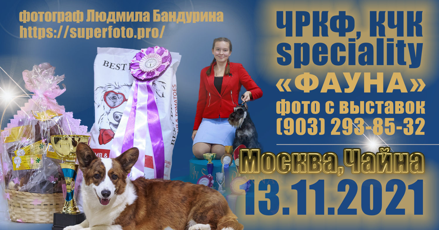 Фото с выставок в Москве 13.11.21 САС ЧРКФ, CAC групп и моно