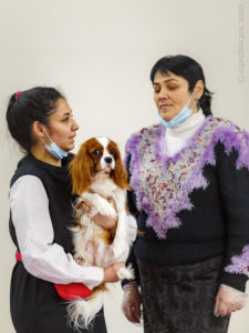 Фото с выставок собак клуба «Антей» в Чайна-Тауне 21.11.2020 (Москва)