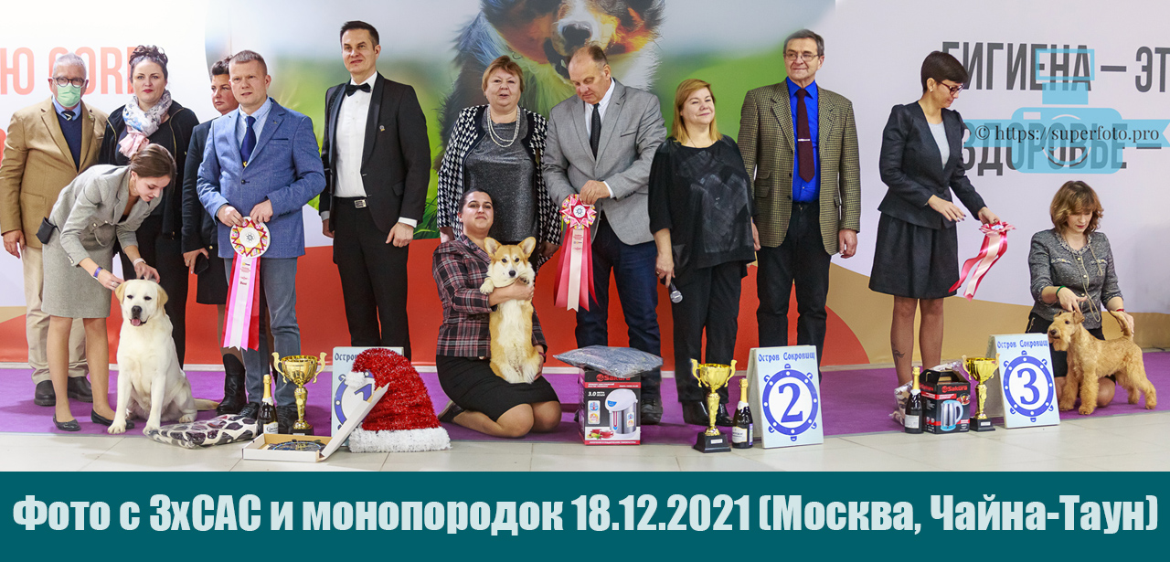 Фото с выставок 3хСАС и моно 18.12.21 (Москва, Чайна-Таун)
