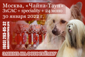 Фото на выставках в Москве 30.01 — 3xCAC, спешиалти, 24 моно