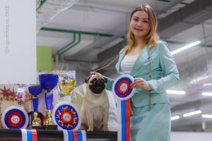 BIS-1 и победитель Supreme BIS выставки «Москва Златоглавая 2022»