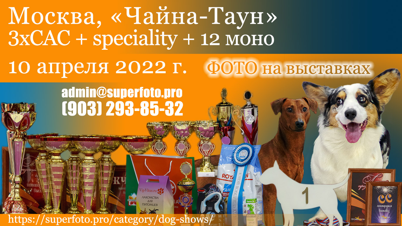 Фото с выставок в Москве 10.04.2022 — 3хСАС, specialty, моно