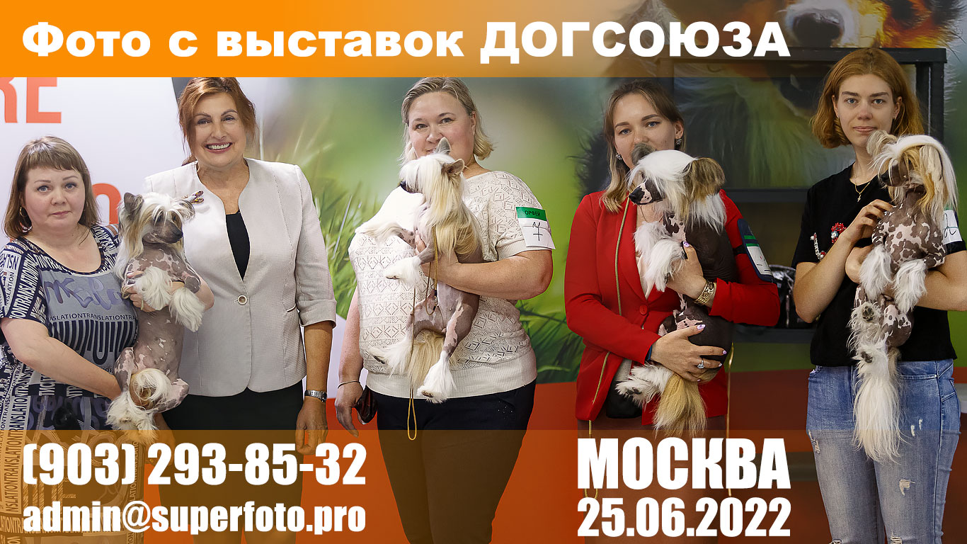 Фото с выставок в Москве 25.06.22 — 3хСАС ЧФ + 2 блока моно