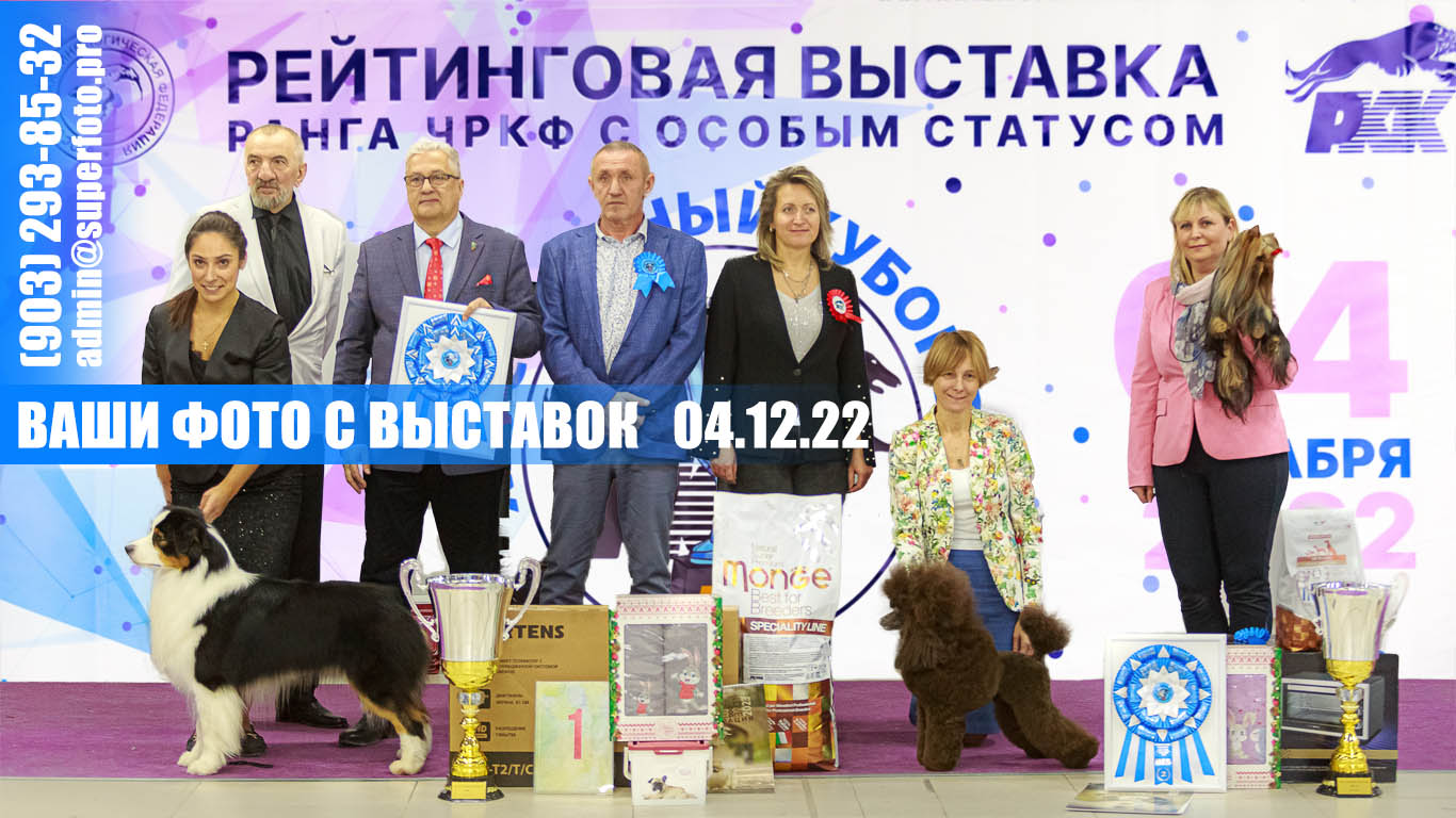 Фото с выставок собак в Москве 04.12.22 моно ВЕО, КХС, 3хCAC