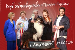 Фото с выставок собак в Александрове Владимирской области 24.06.2023