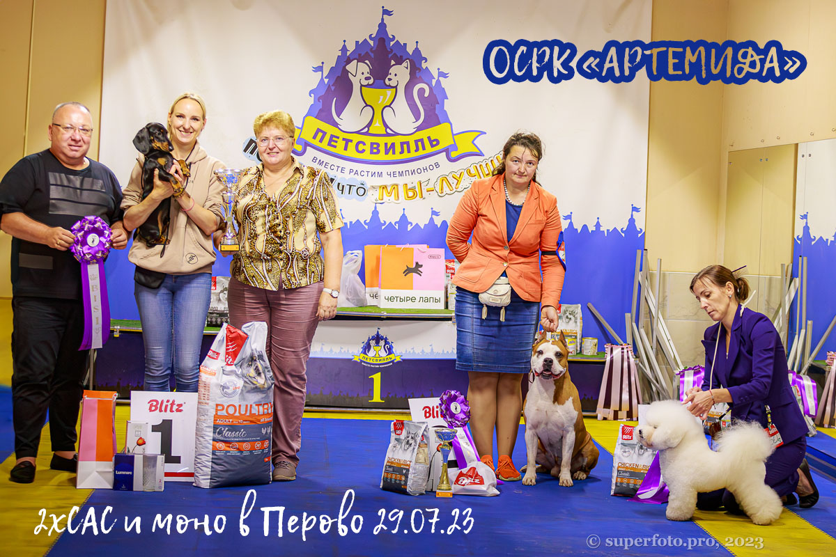 Лето в Перово — фото с выставок собак 2хСАС и моно 29.07.23