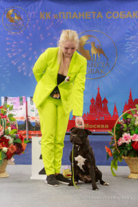 фото с выставок собак в Москве 01.10.2023