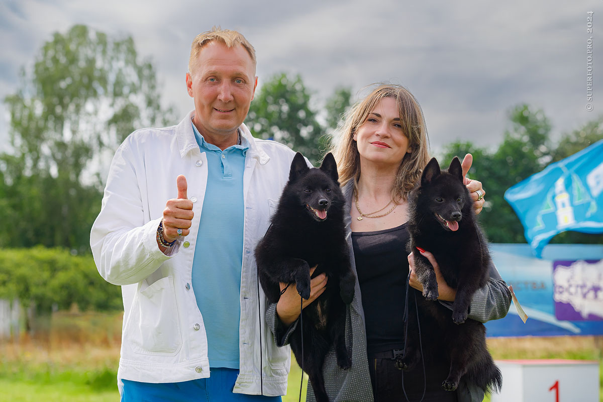 Схипперке. Раменское, 11.08.24